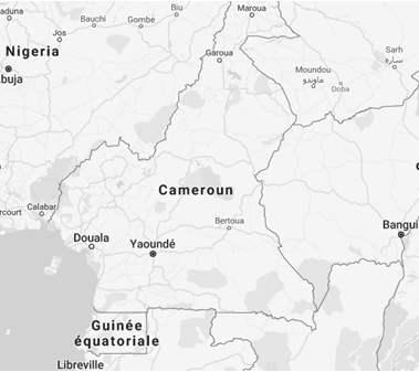 Negocios en Camerún, Duala, Yaoundé, Economía camerunesa (40% PIB CEMAC) Comercio exterior camerunés