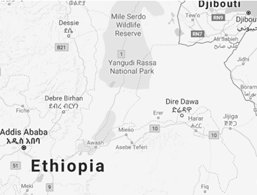 Study in Dire Dawa, Ethiopia (Master Business)