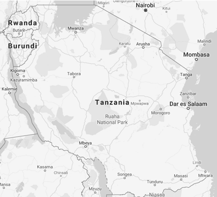 Commerce international et affaires en Tanzanie