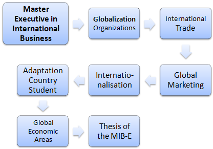 Online Master in International Business