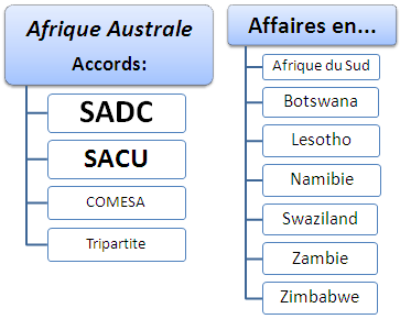 Affaires et commerce international en Afrique australe