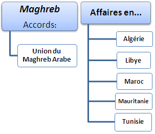 Cours Master : commerce international et affaires au Maghreb