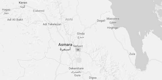 Comércio Exterior e Negócios em Asmara (Eritreia)