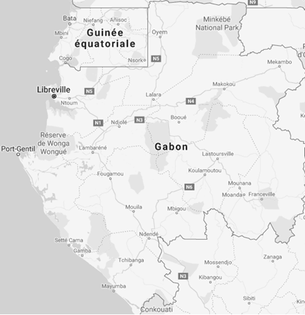 Comercio Exterior y Negocios en Gabón