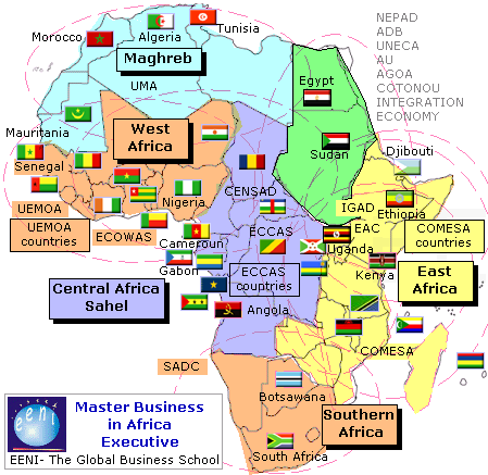 Mestrado : espaços económicos africanos