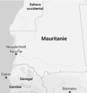 Negócios na Mauritânia, Comércio Exterior