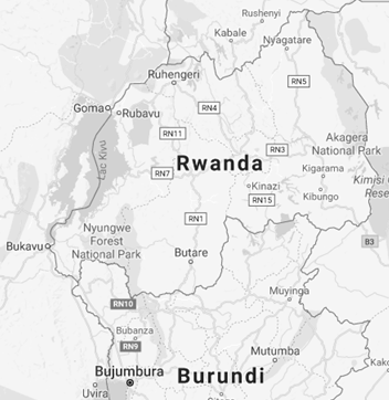 Negócios no Ruanda (Mestrado comércio exterior)