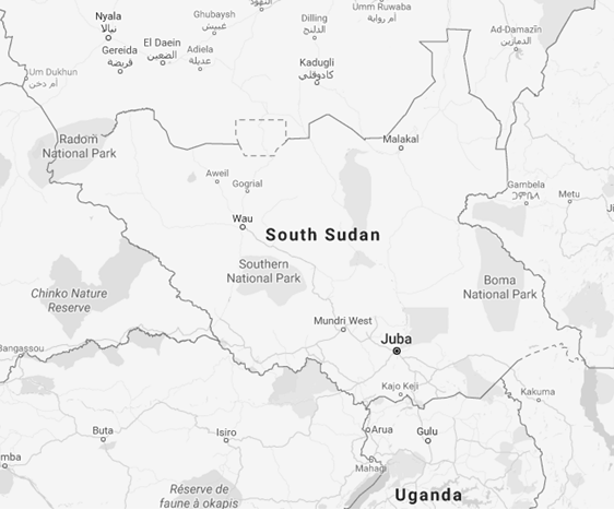 Negócios no Sudão do Sul, Comércio Exterior