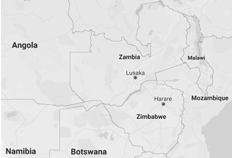 Affaires au Zimbabwe (exportations, importations)